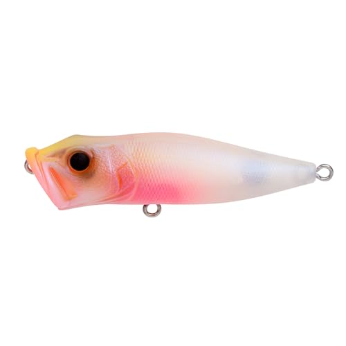 Amazon.co.jp: Megabass(メガバス): ポッパー